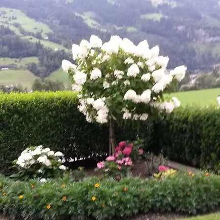 Haus Breuss * Hippach